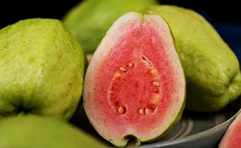 芭樂維生素C含量 芭樂維生素C含量