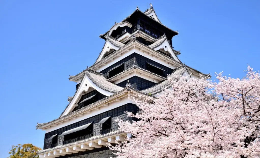 熊本賞櫻景點 熊本賞櫻景點