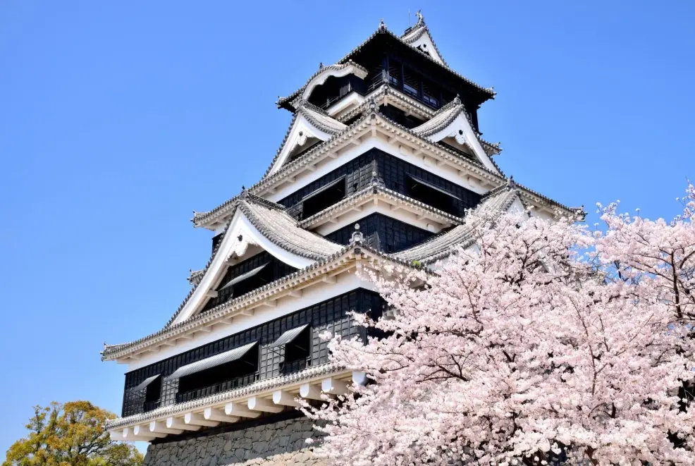熊本城櫻花季 熊本城櫻花季