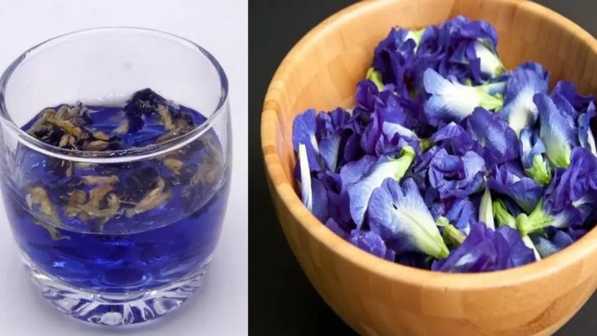 蝶豆花功效