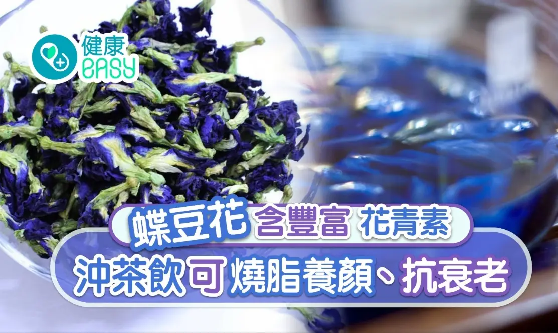 蝶豆花副作用