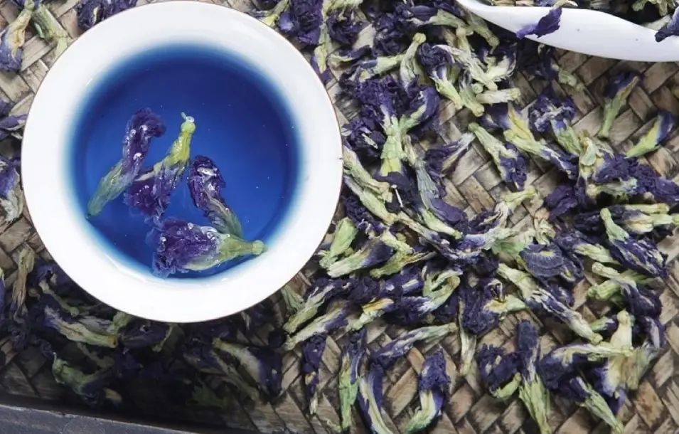 蝶豆花副作用