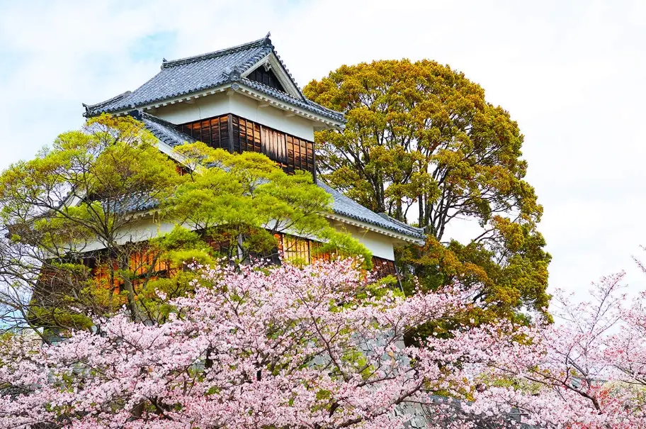 熊本城賞櫻 熊本城賞櫻