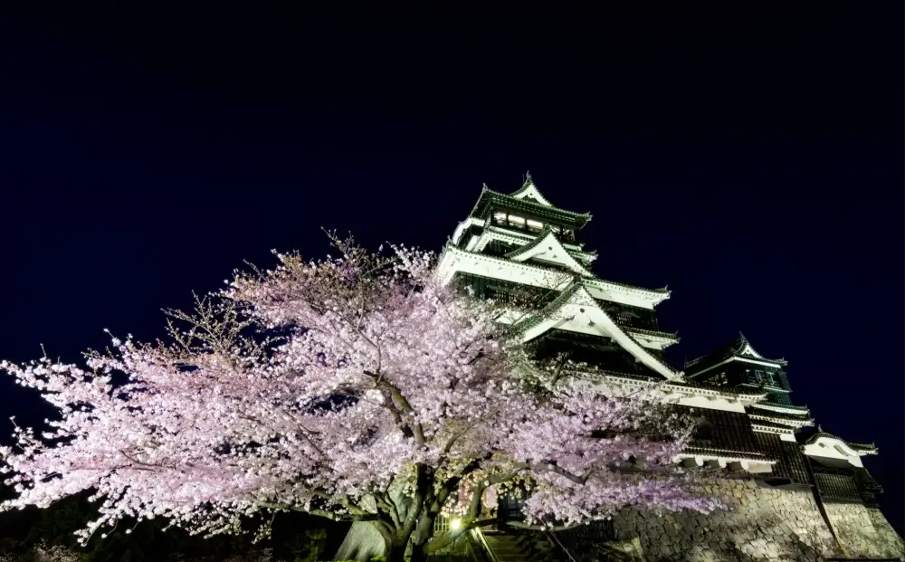 熊本城賞櫻 熊本城賞櫻