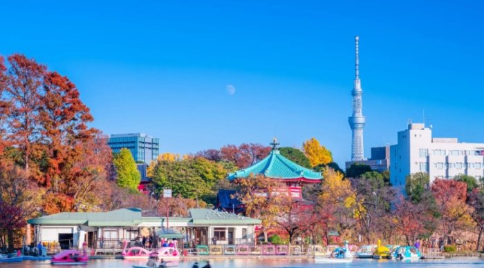 東京旅遊行程