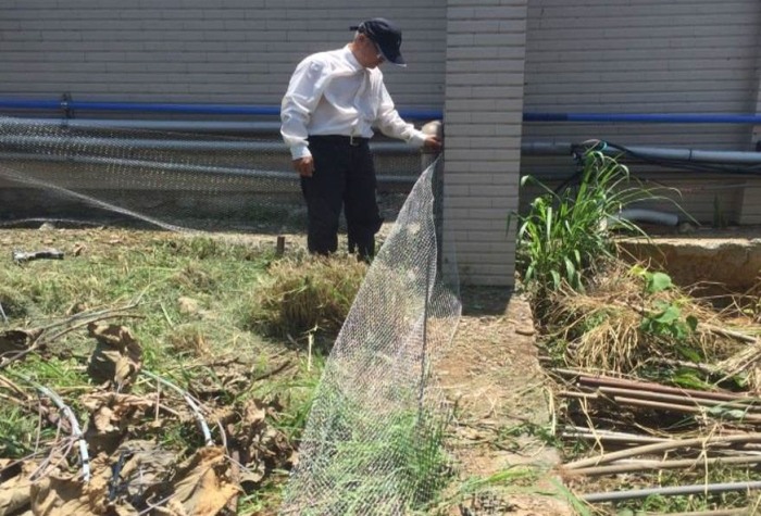 防蛇