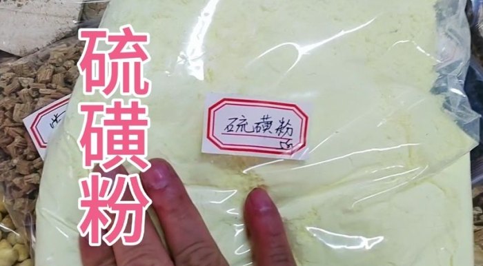 驅蛇