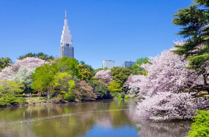 東京旅遊費用