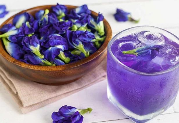 蝶豆花功效