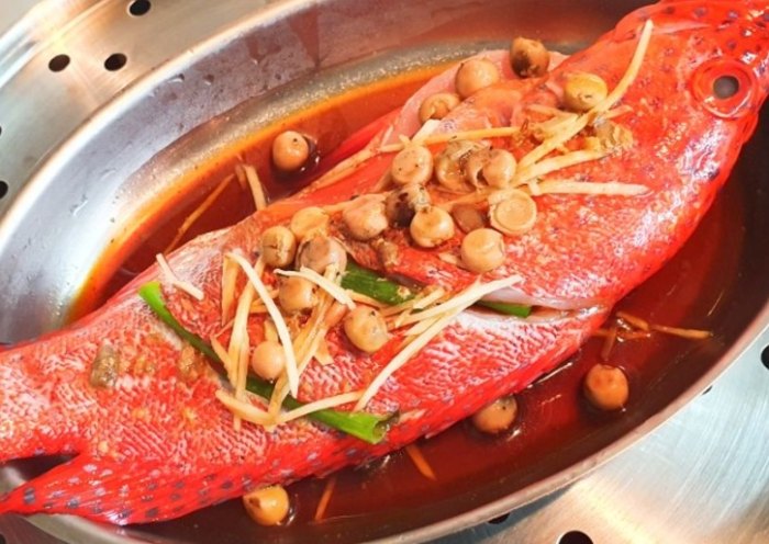 紅魚