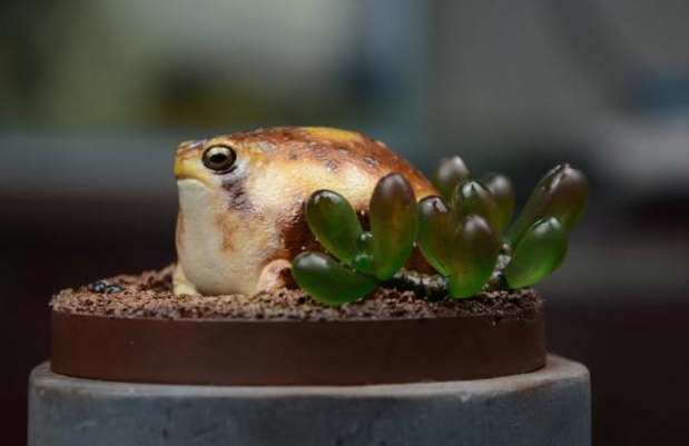 饅頭蛙多少錢？