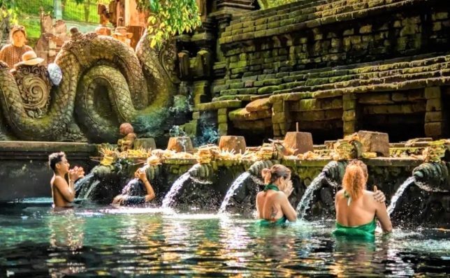 巴厘島司機小費