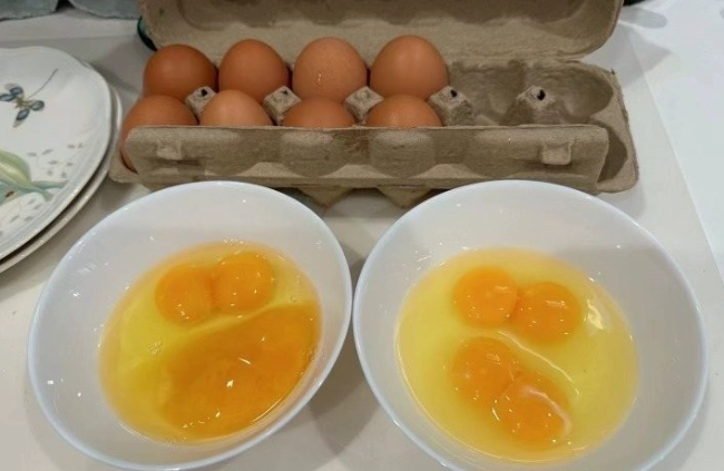 如何挑選新鮮雞蛋