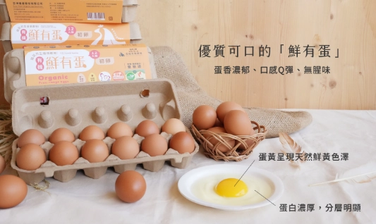 濱江市場雞蛋價格