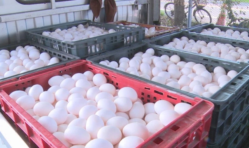 如何挑選新鮮雞蛋