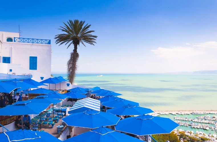 突尼西亞旅遊