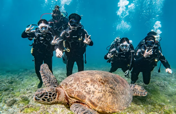小琉球潛水點 小琉球潛水點