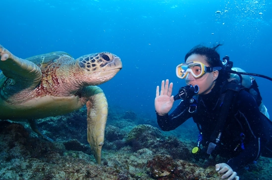 小琉球潛水點 小琉球潛水點