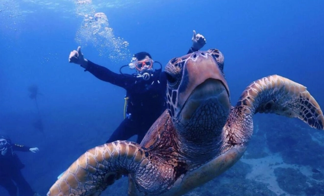 小琉球潛水點 小琉球潛水點