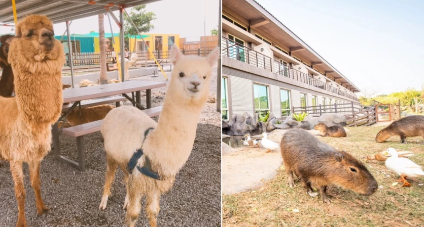 木柵動物園行程規劃