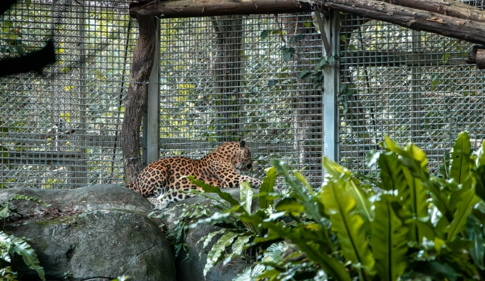動物園住宿推薦