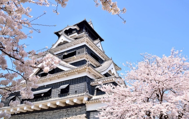 熊本賞櫻景點