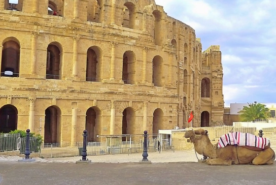 突尼西亞旅遊警告