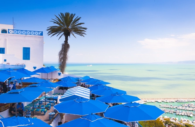 突尼西亞旅遊警示