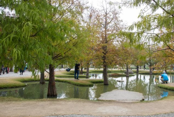 青埔落羽松秘境附近美食