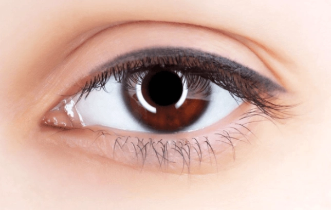 粉紅色沙灘旅遊