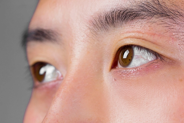 眼白粉紅色景點