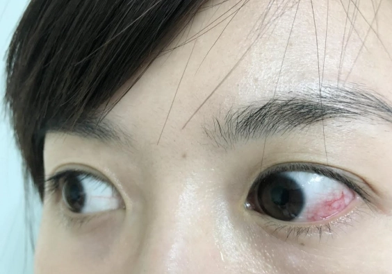 粉紅色沙灘旅遊